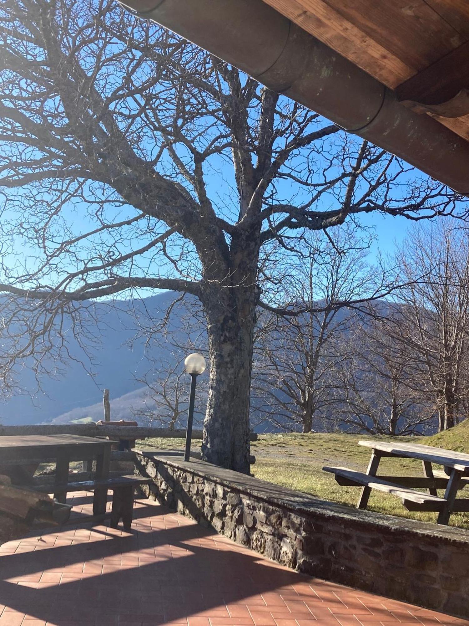 Agriturismo Sperandini San Marcello Pistoiese Exterior foto